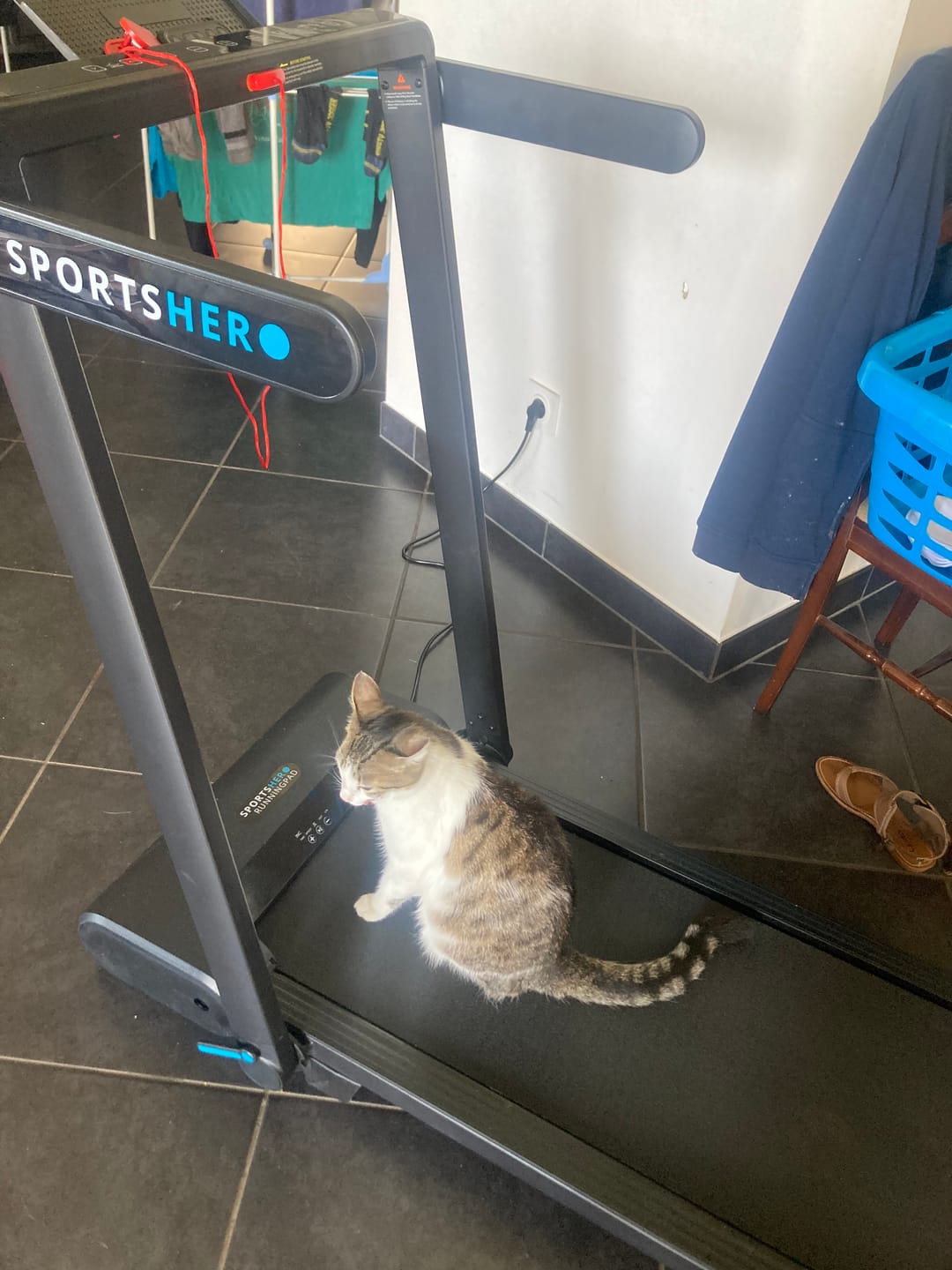 Customer photo review of SPORTSHERO RUNNINGPAD | PRO