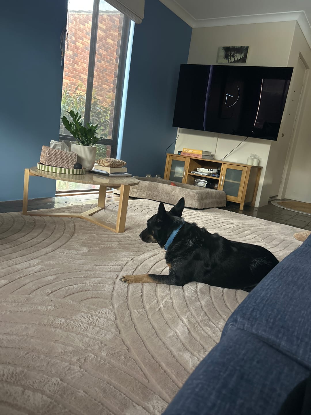 Customer photo review of Designer Relax Mat - 35mm Thick Foam Base