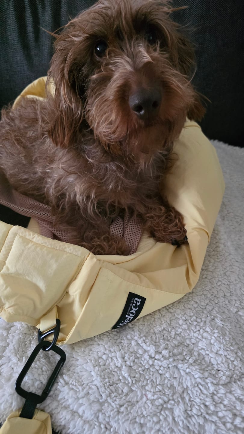 Customer photo review of Petit sac à friandises jaune