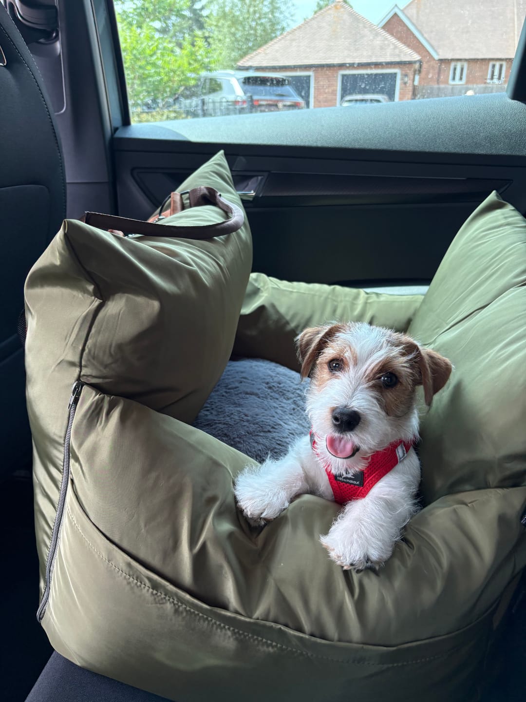 Customer photo review of Travel Dog Pod - Now With IsoFix