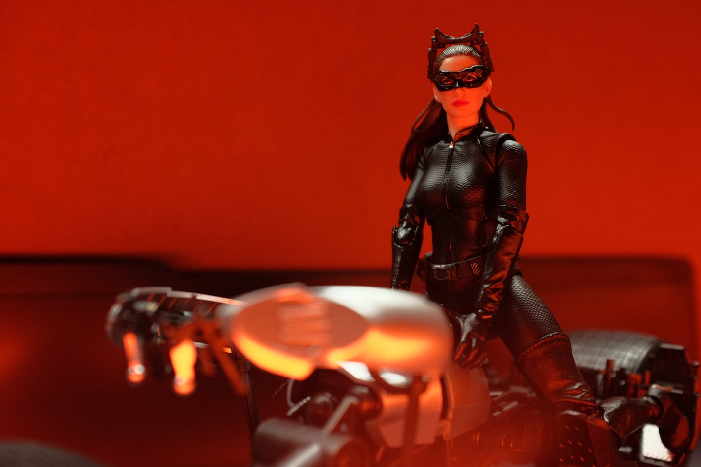 Customer photo review of The Dark Knight Rises - Catwoman 1/12 Scale Figure