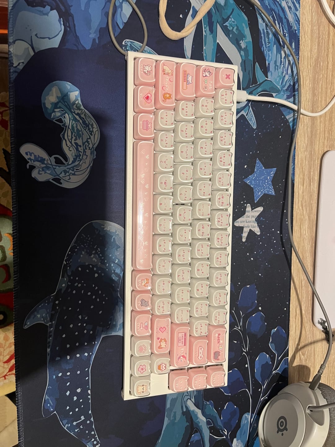 Customer photo review of KiiBOOM Mewsic Jelly Keycap Set