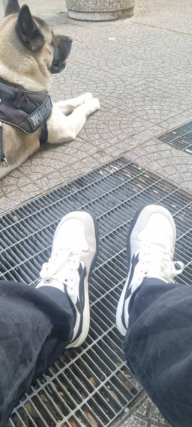 Customer photo review of Hareball - Scarpe Larghe