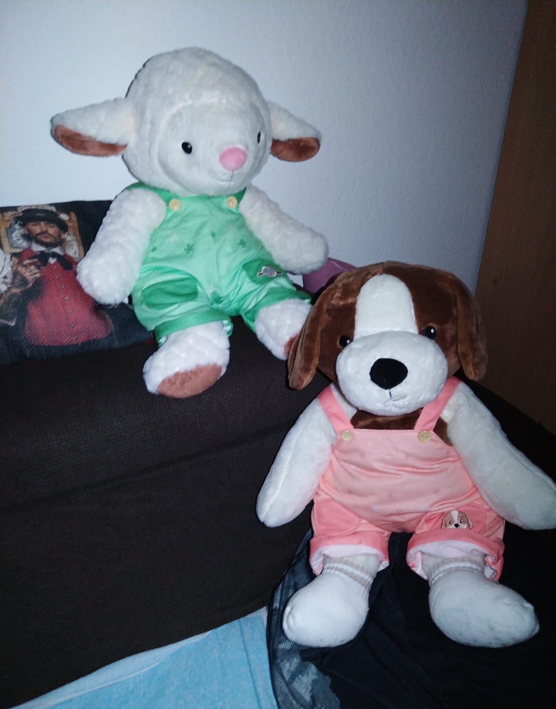 Customer photo review of Schaap Kleding Lente Lotgenootje