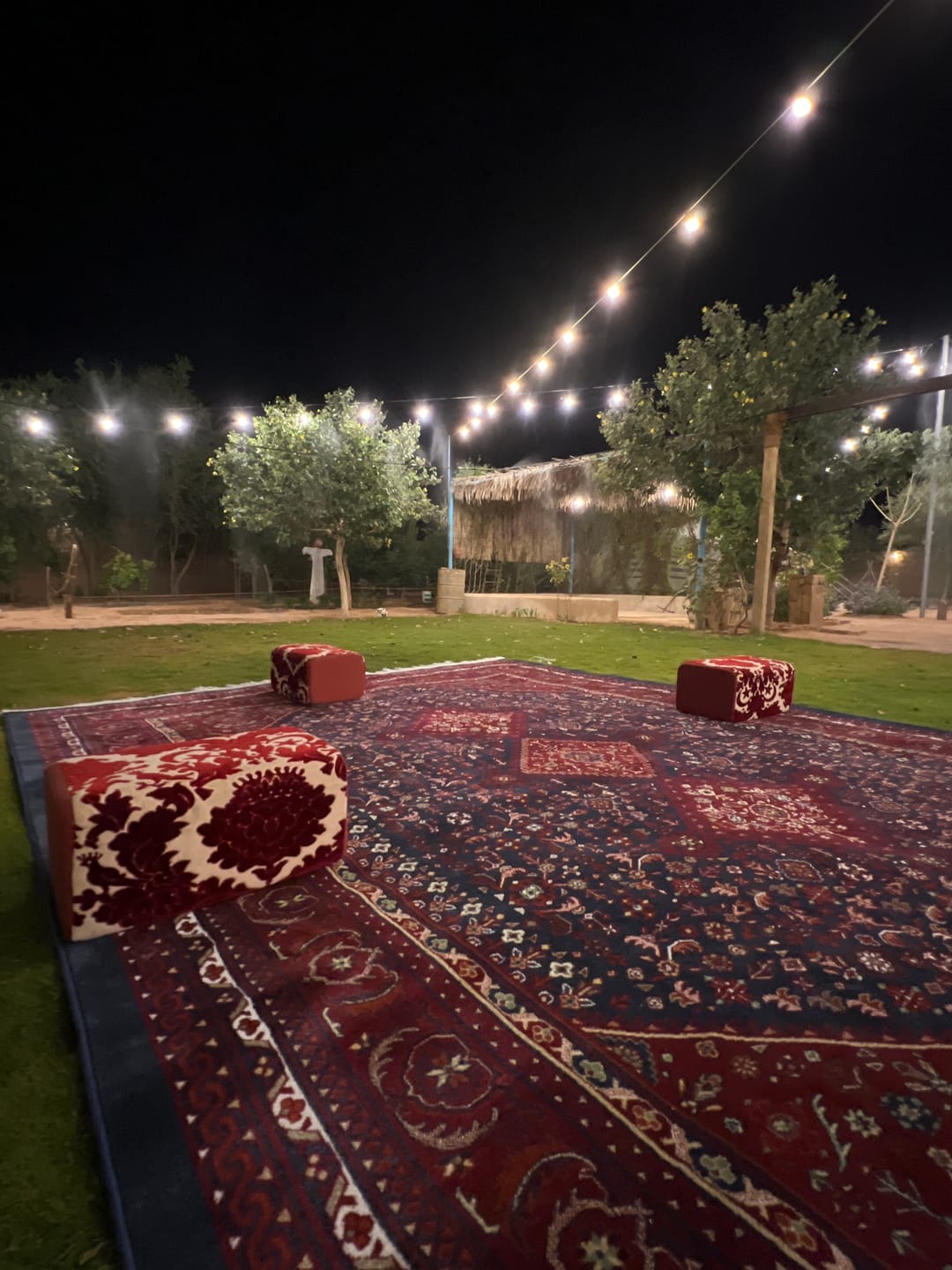 Customer photo review of سجادة كلاسيك - كاشان بلس