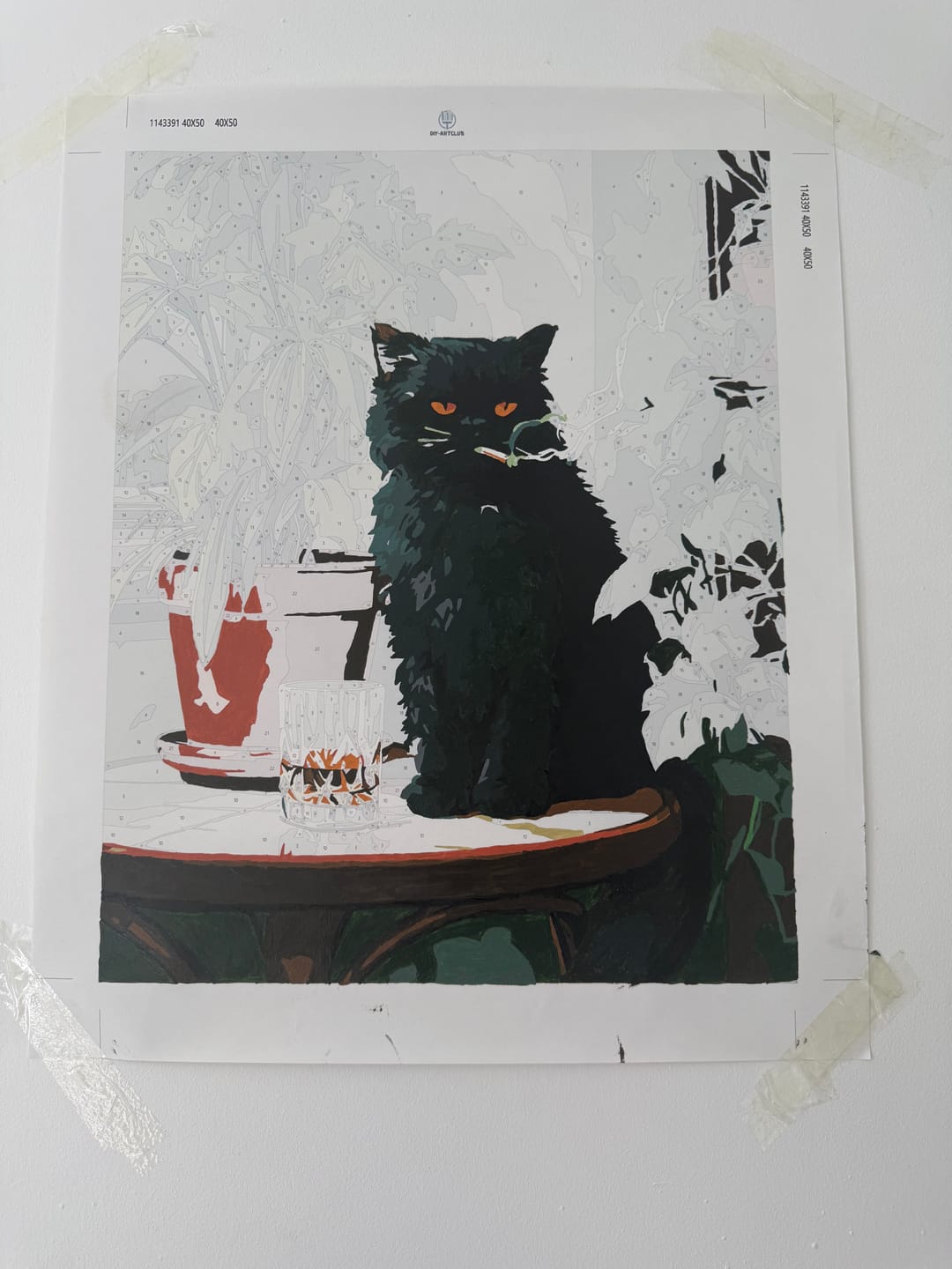 Customer photo review of Grumpy cat | Paint by Number