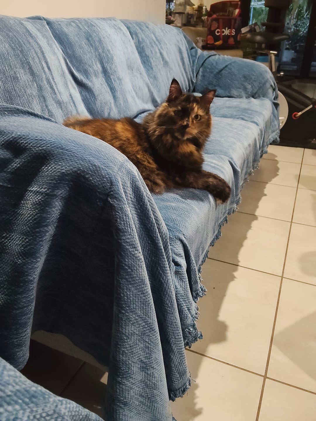 Customer photo review of CouchCare™️ Couch Protector