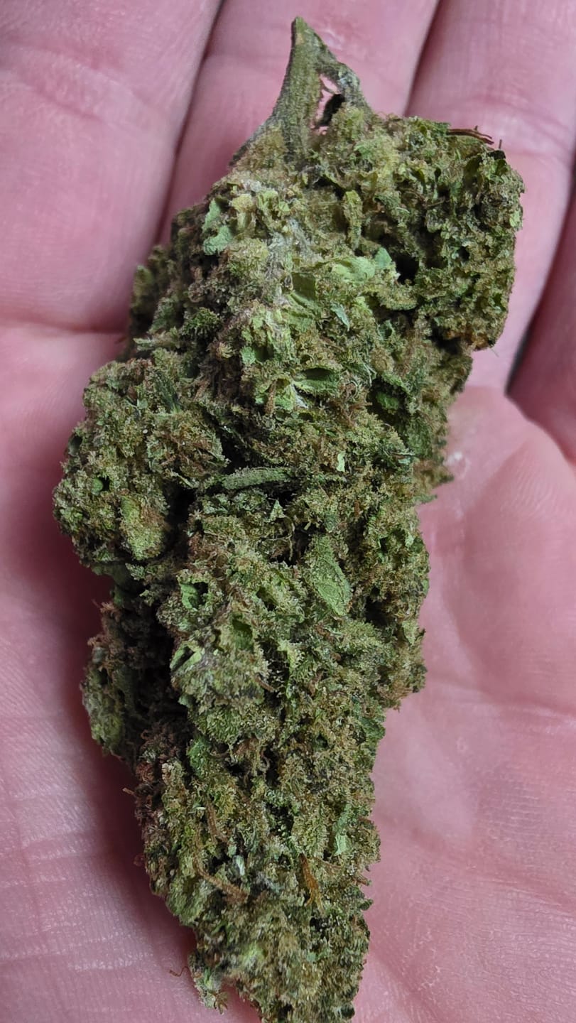 Customer photo review of Caramel Apple - Bulk - Hybrid