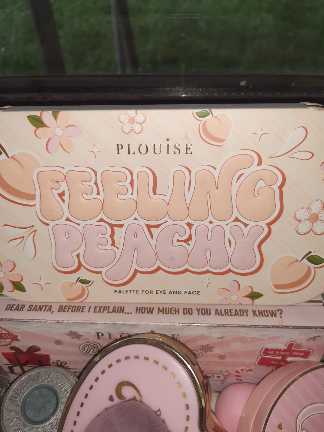 Customer photo review of Feeling Peachy Palette