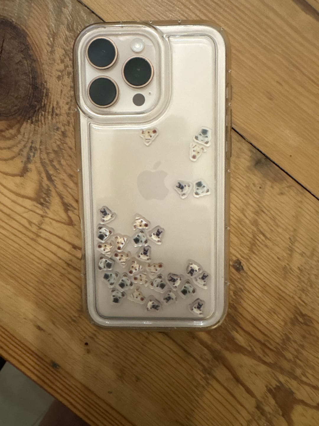 Customer photo review of Shaker Case™ with Custom Charms