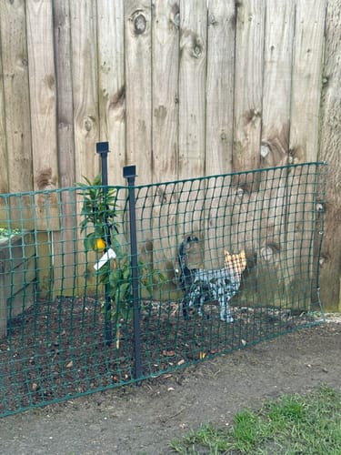 Customer photo review of Floral Cat Wall Art