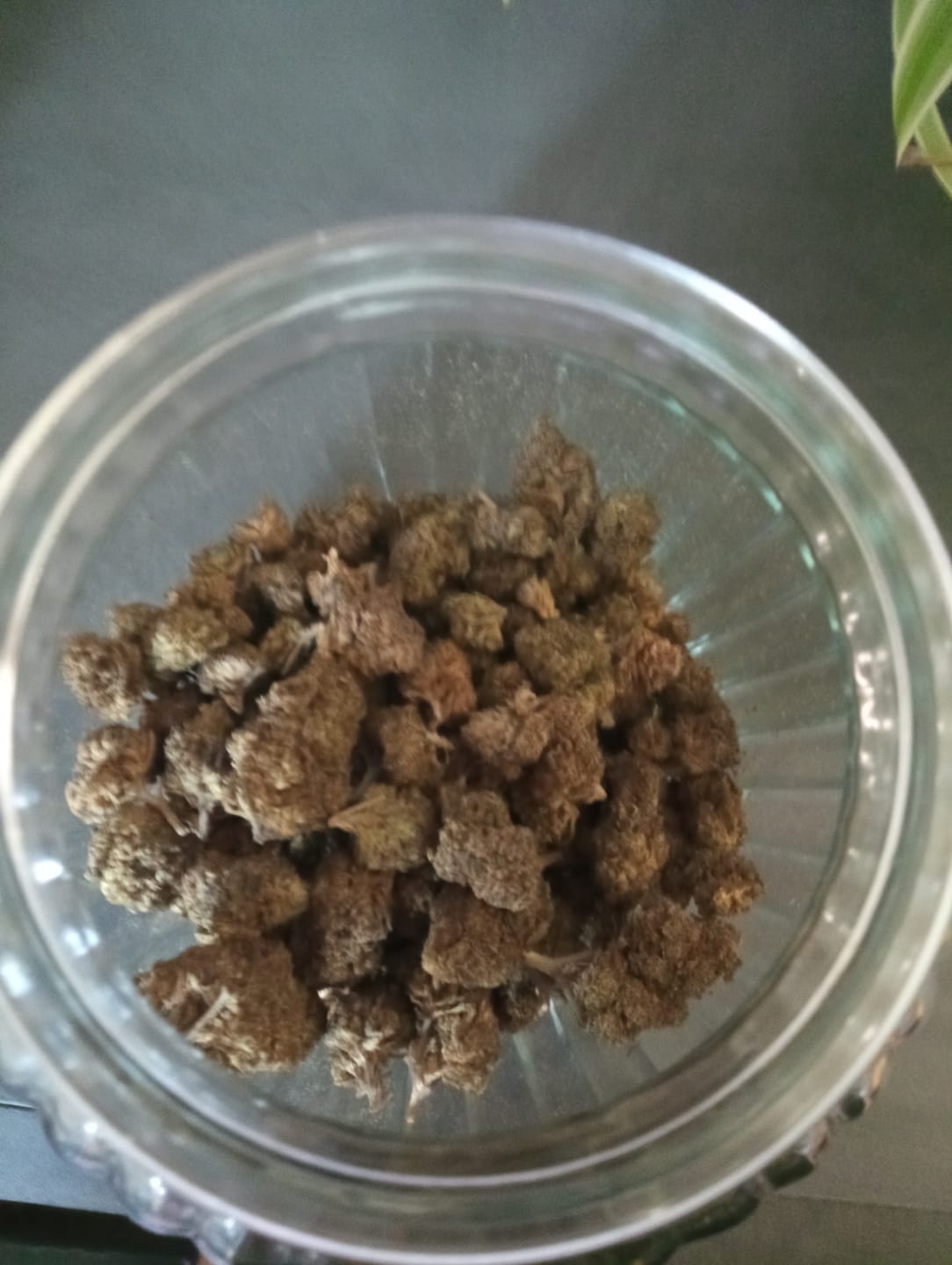 Customer photo review of Amnesia Storm 9H-THC