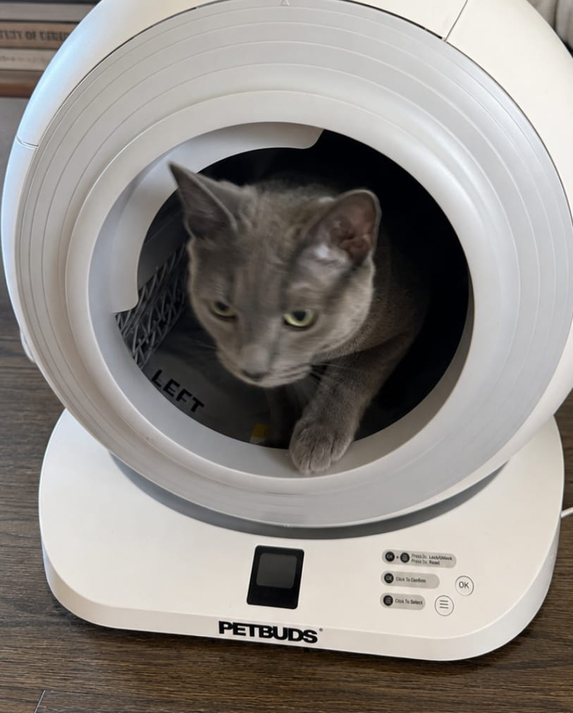 Customer photo review of The Petbuds Tonepie Q-CLEAN Automatic Self-Cleaning Litter Box