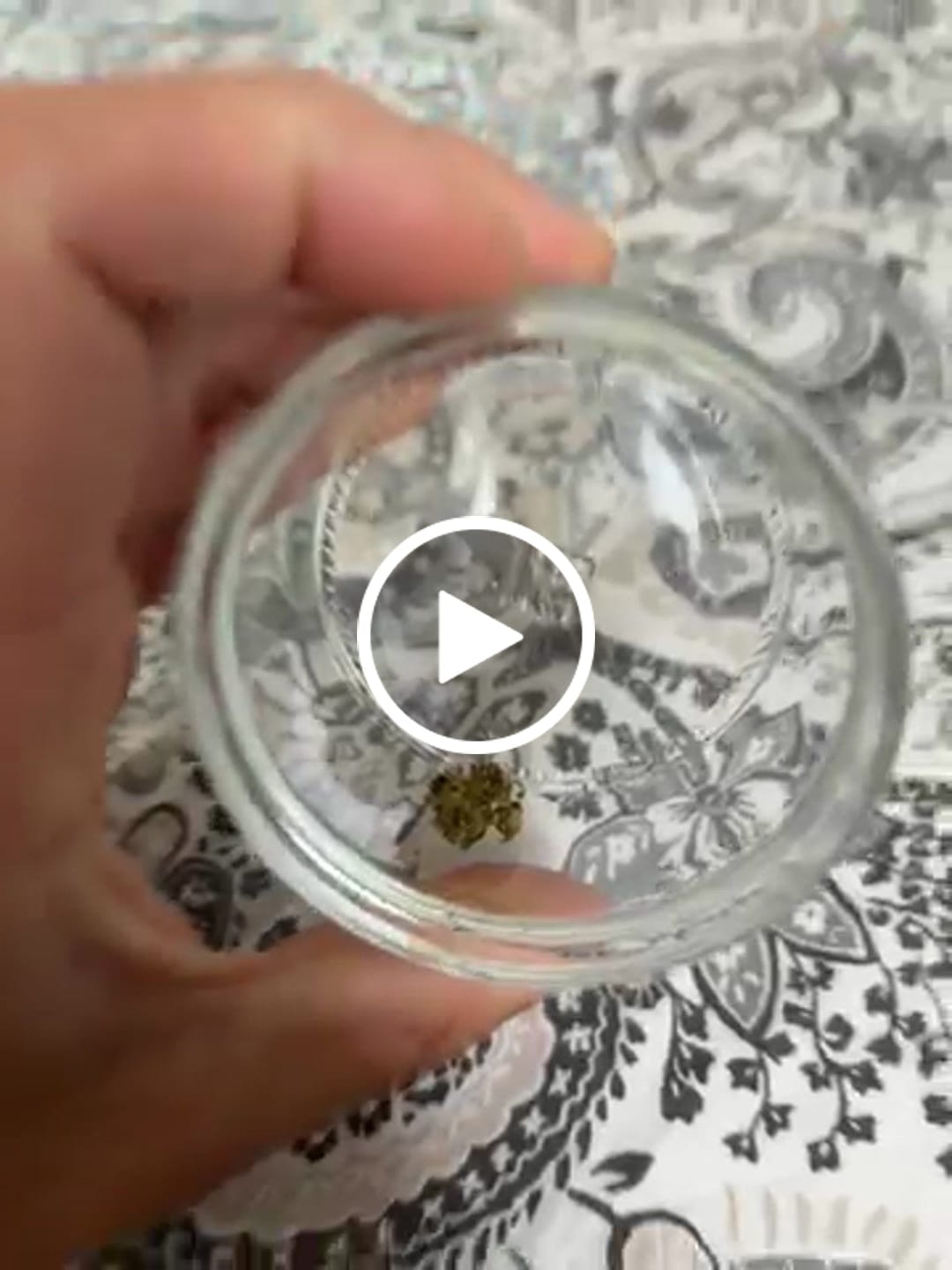 Customer video review of Blueberry Kush