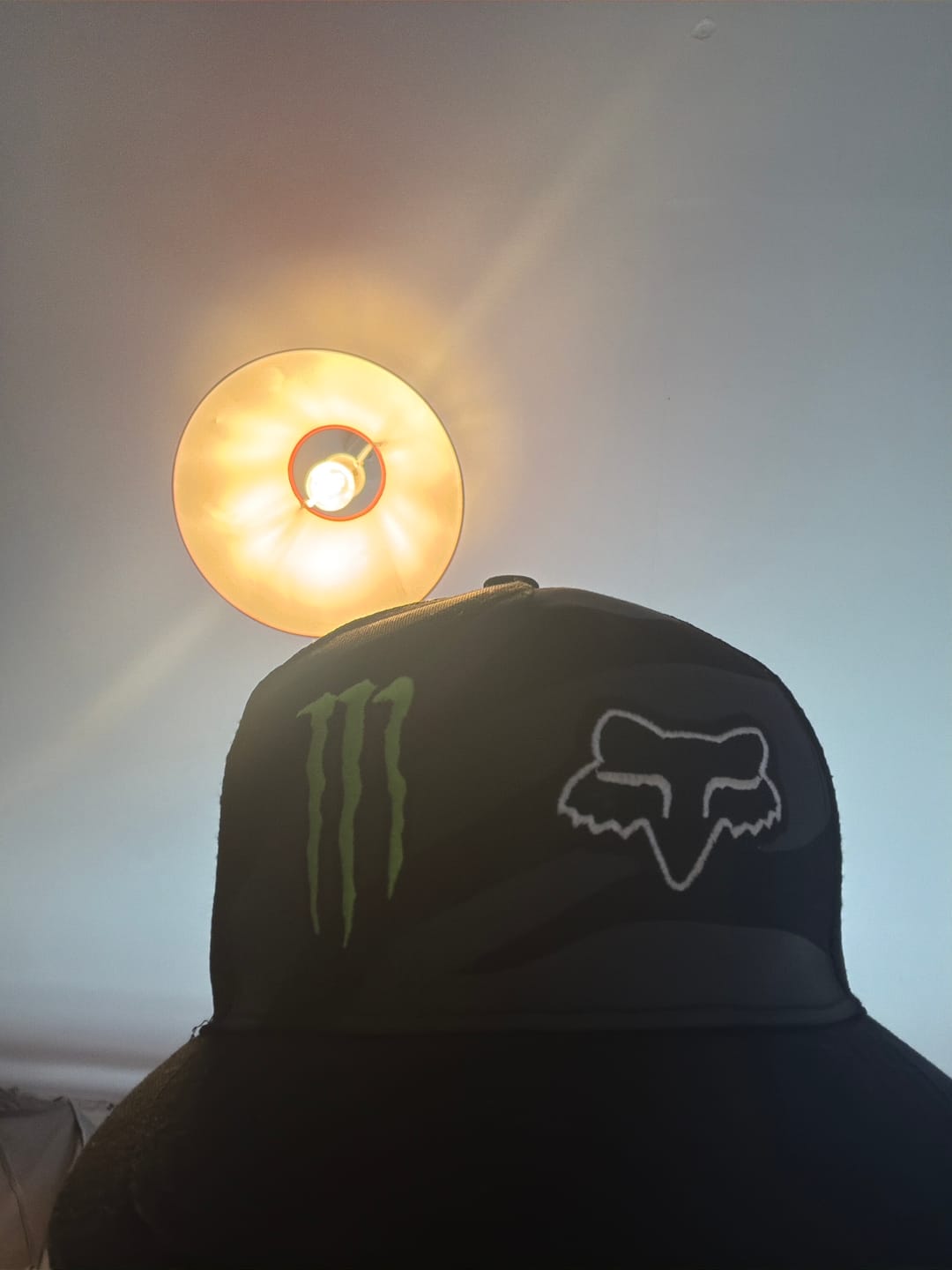 Customer photo review of Monster Fox Cap