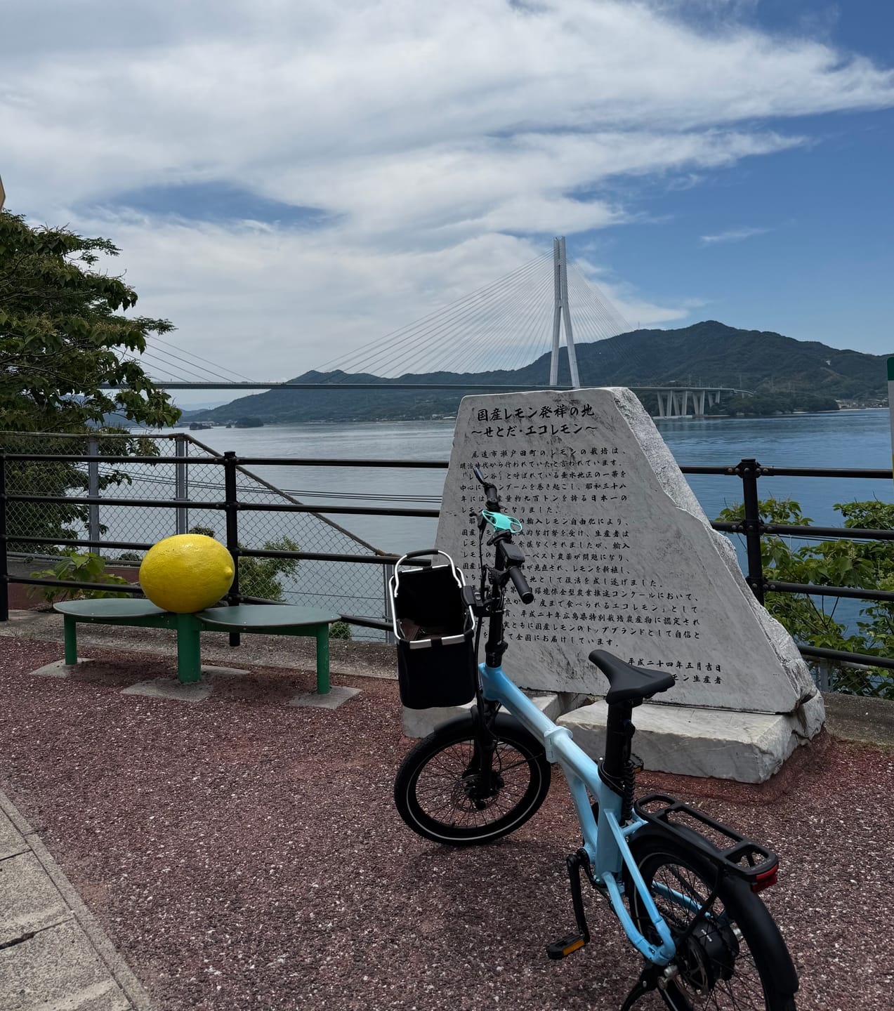 Customer photo review of Air 20 Ultra 折りたたみ電動アシスト自転車
