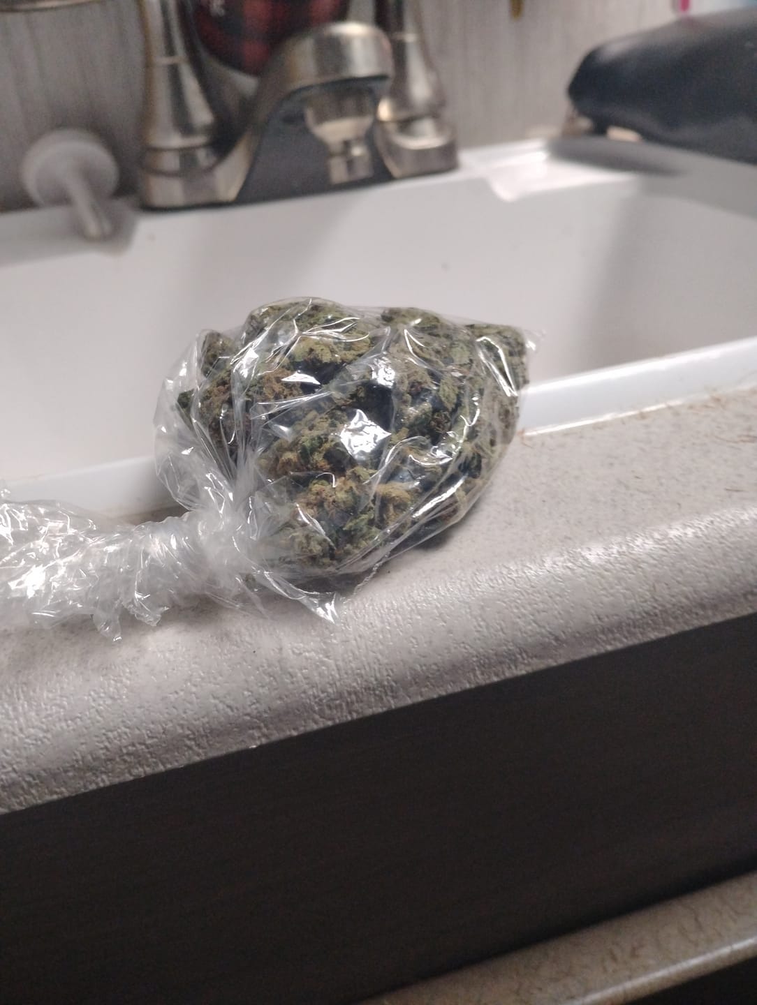 Customer photo review of Purple Punch - Bulk - Indica