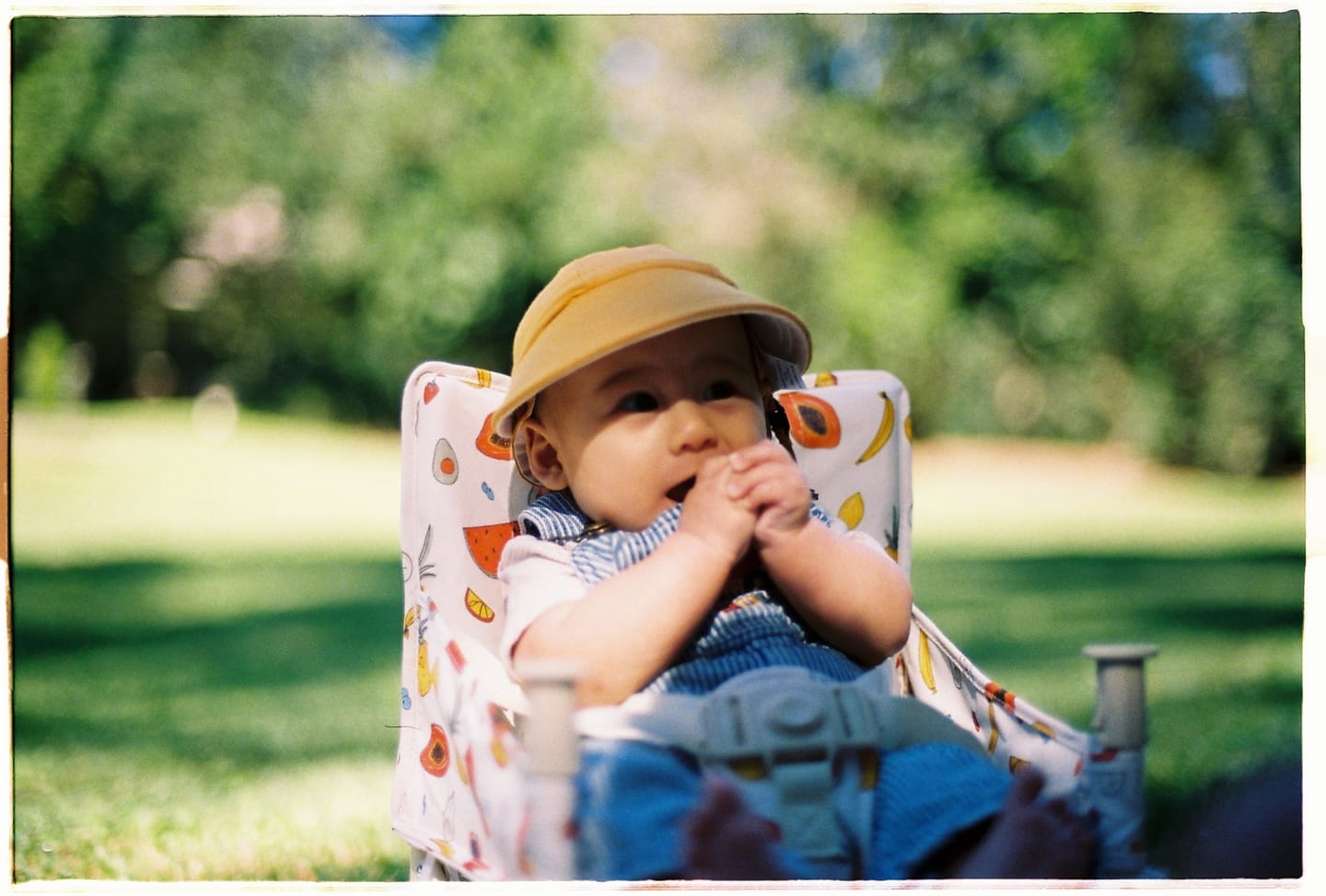 Customer photo review of Clementine baby chair v2