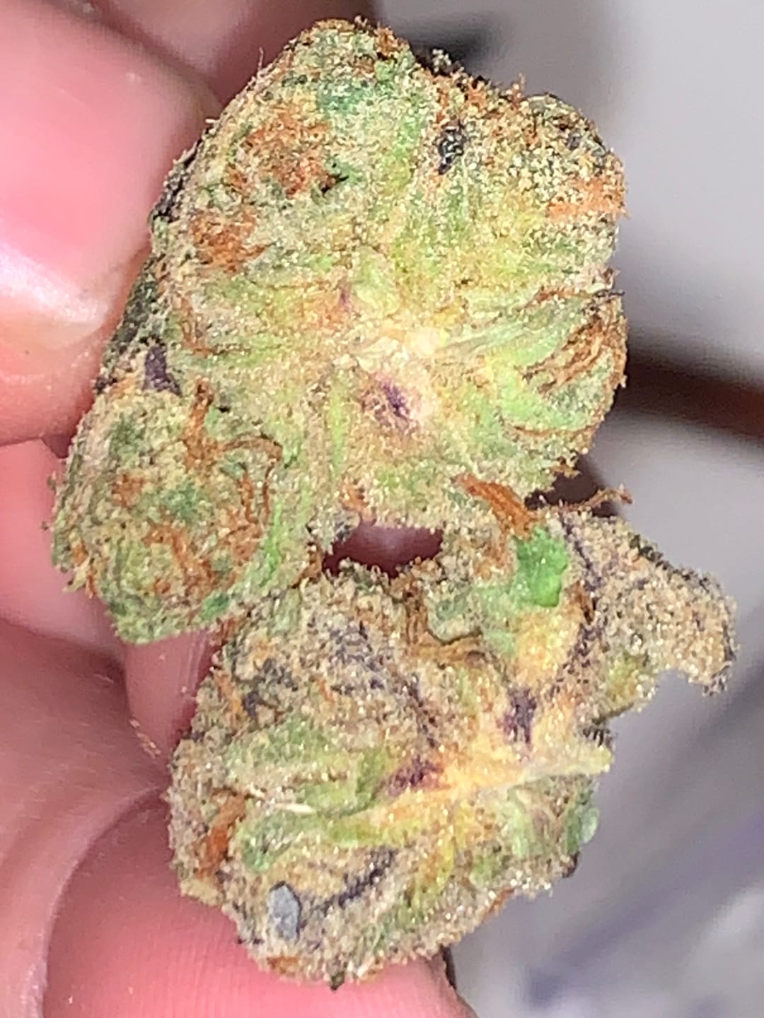 Customer photo review of Gelonade - Indoor - 4 Grams - Sativa