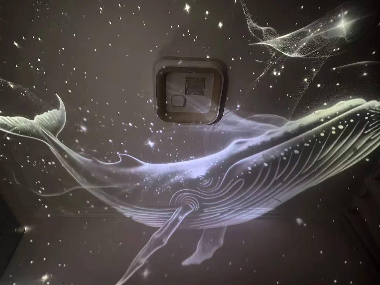 Customer photo review of AstroDrift™ — USB Star Projector for Car & Home