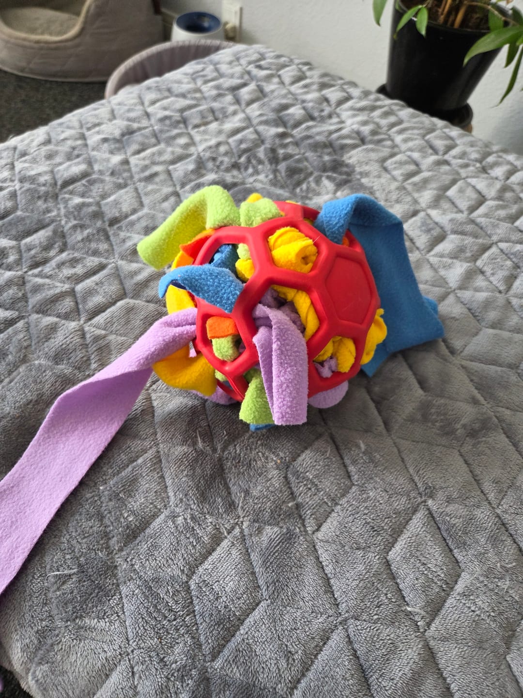 Customer photo review of SnufFiesta: Den Ultimative Snusebold