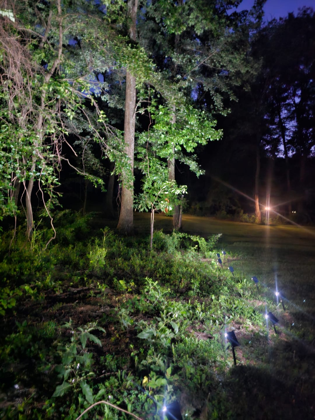Customer photo review of Solar Spot lights For Garden Cool White Waterproof Landscape Lighting