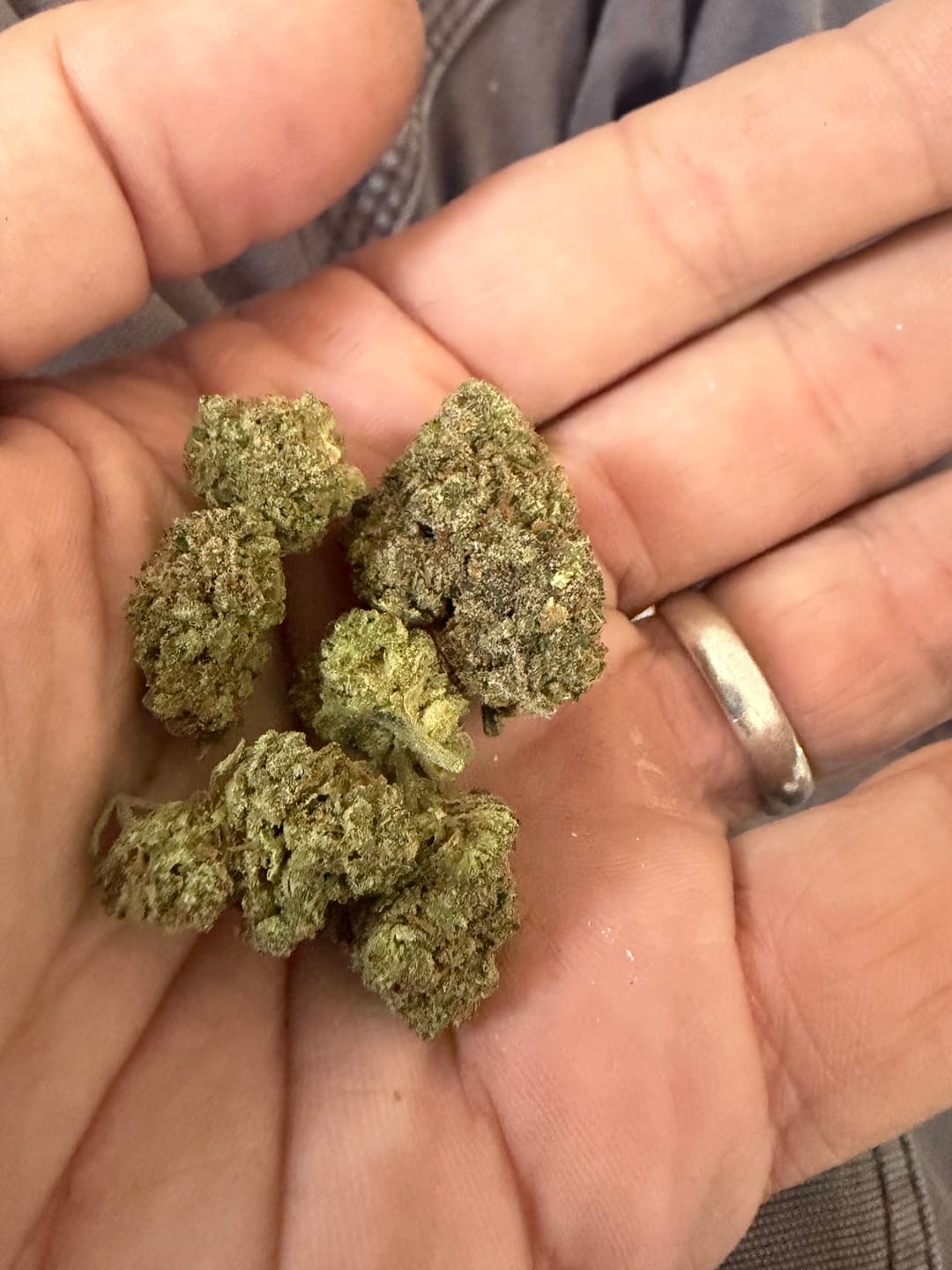 Customer photo review of Alien OG