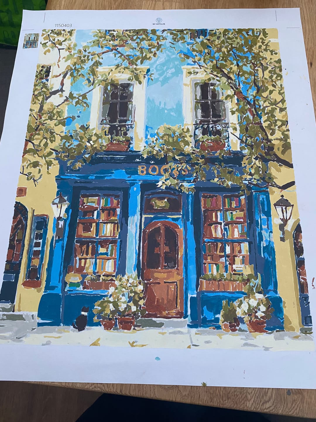 Customer photo review of The Blue Bookshop | Paint by Number