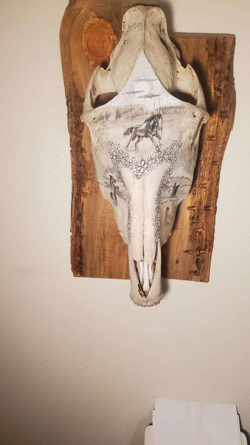 Customer photo review of European Trophy Mount - Small Hook - 5 PACK