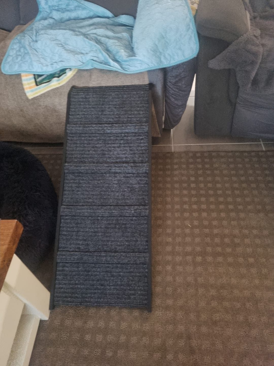 Customer photo review of Adjustable Height Dog Ramp