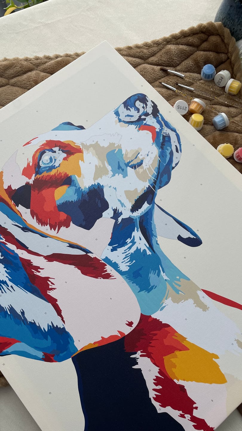 Customer photo review of Colorful Beagle | Paint by Number