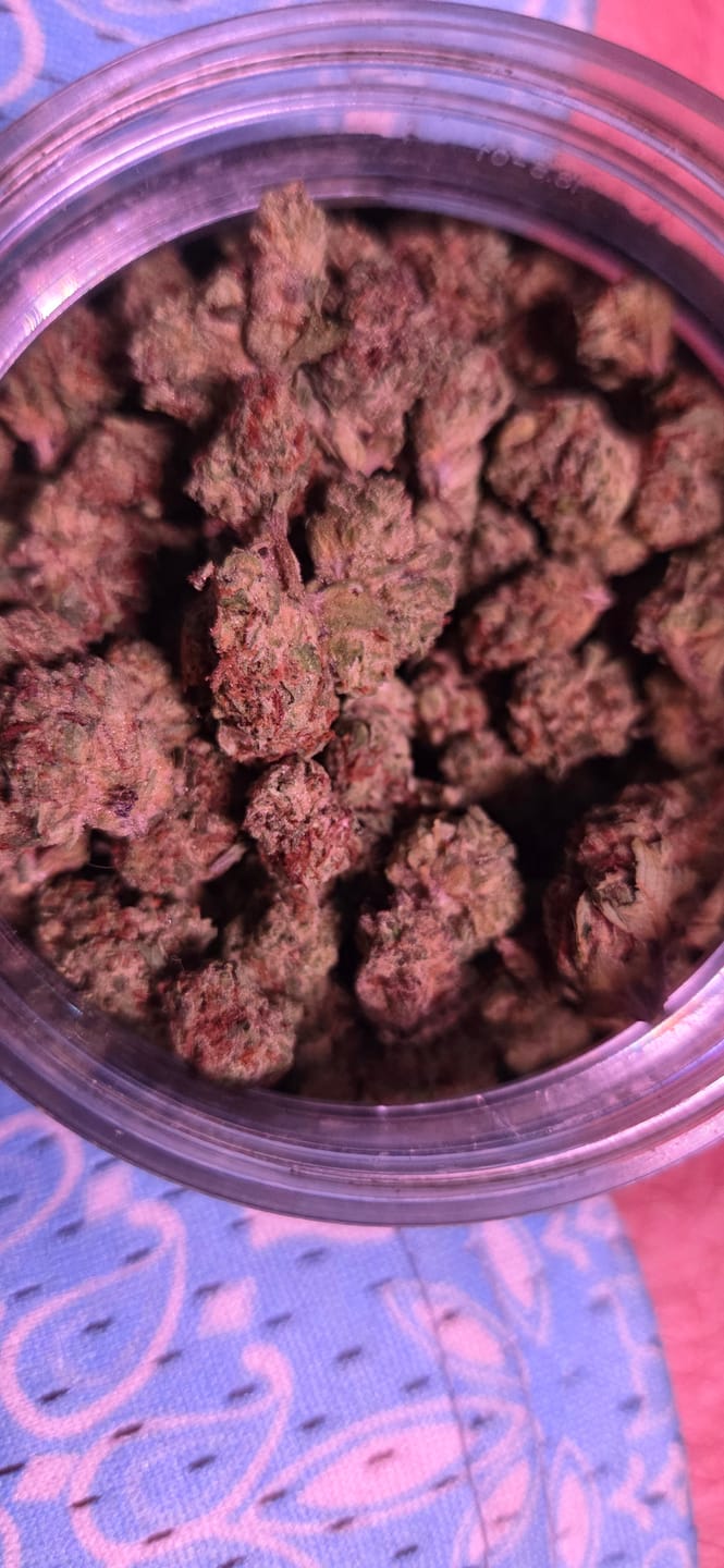Customer photo review of Blueberry Muffins Littles - Bulk Littles - Indica