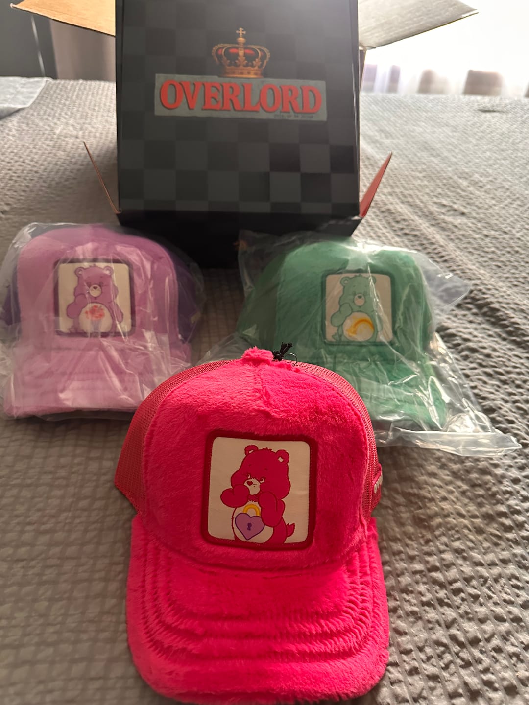 Customer photo review of OVERLORD X Care Bears: Secret Bear