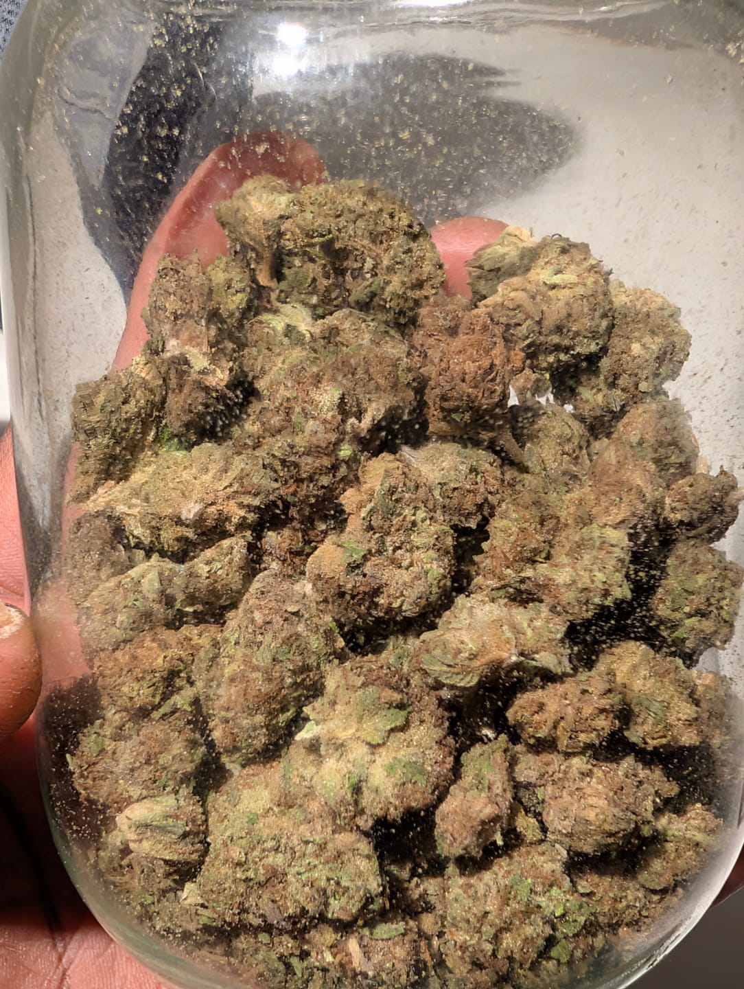 Customer photo review of Grape Gas - 28 Grams - Hybrid