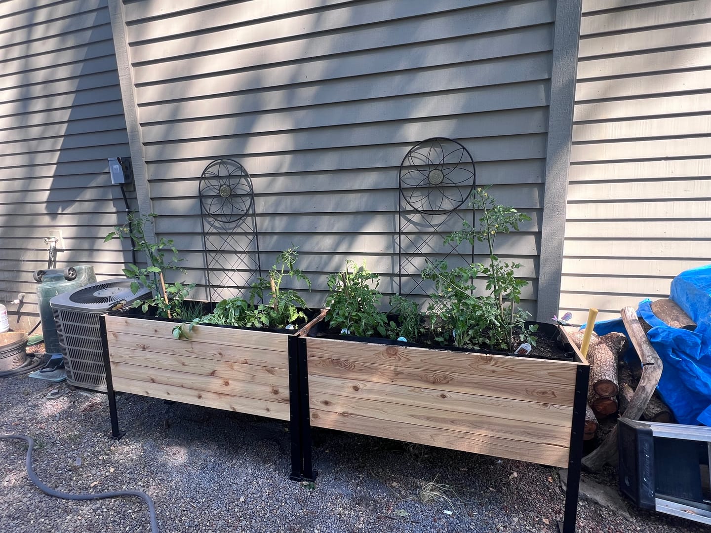 Customer photo review of 18" x 48" Raised Garden Bed - 30" TALL / Garden Grade