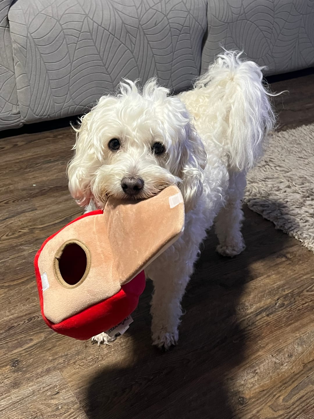 Customer photo review of CHICKEN JERKY PIECES (BUCK BUCK)