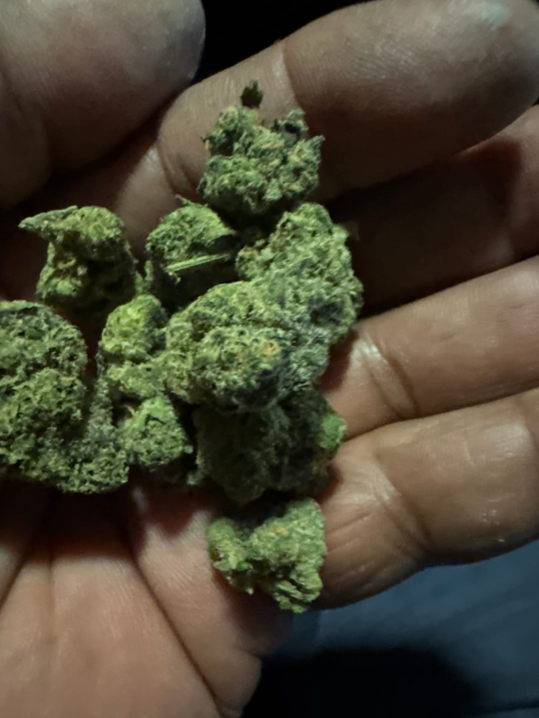 Customer photo review of Biscotti THCA Flower (Premium)