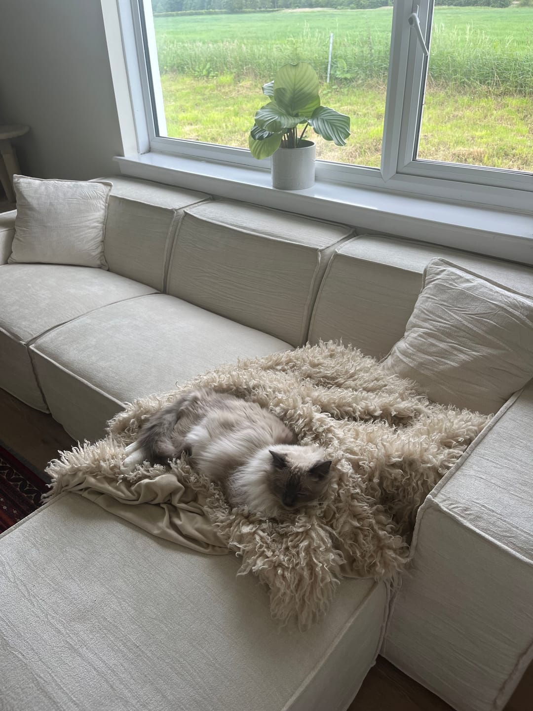 Customer photo review of M1 Sofa Sectional (Corner)