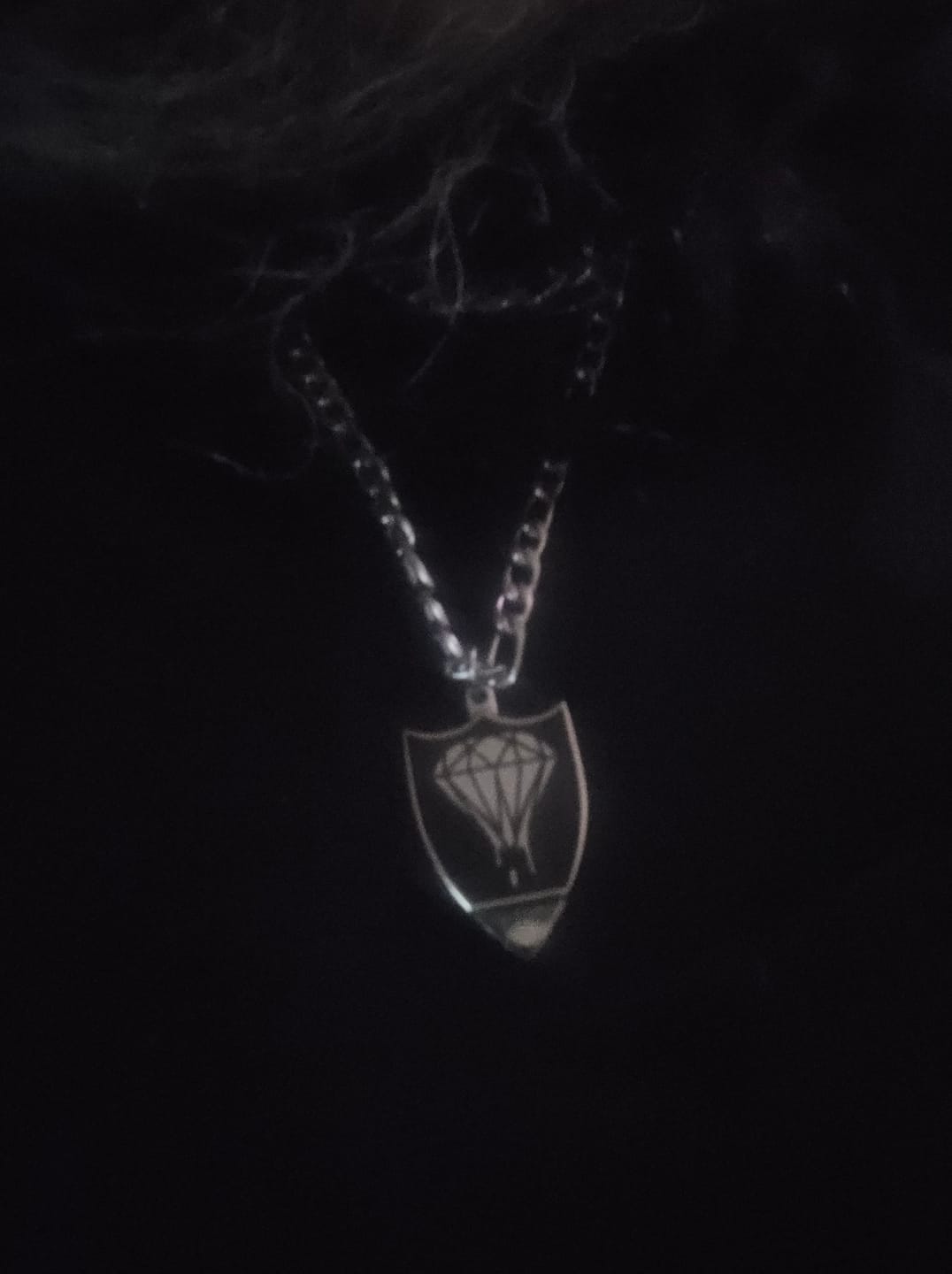 Customer photo review of Silver Diamond - World's Best Shotgun Necklace
