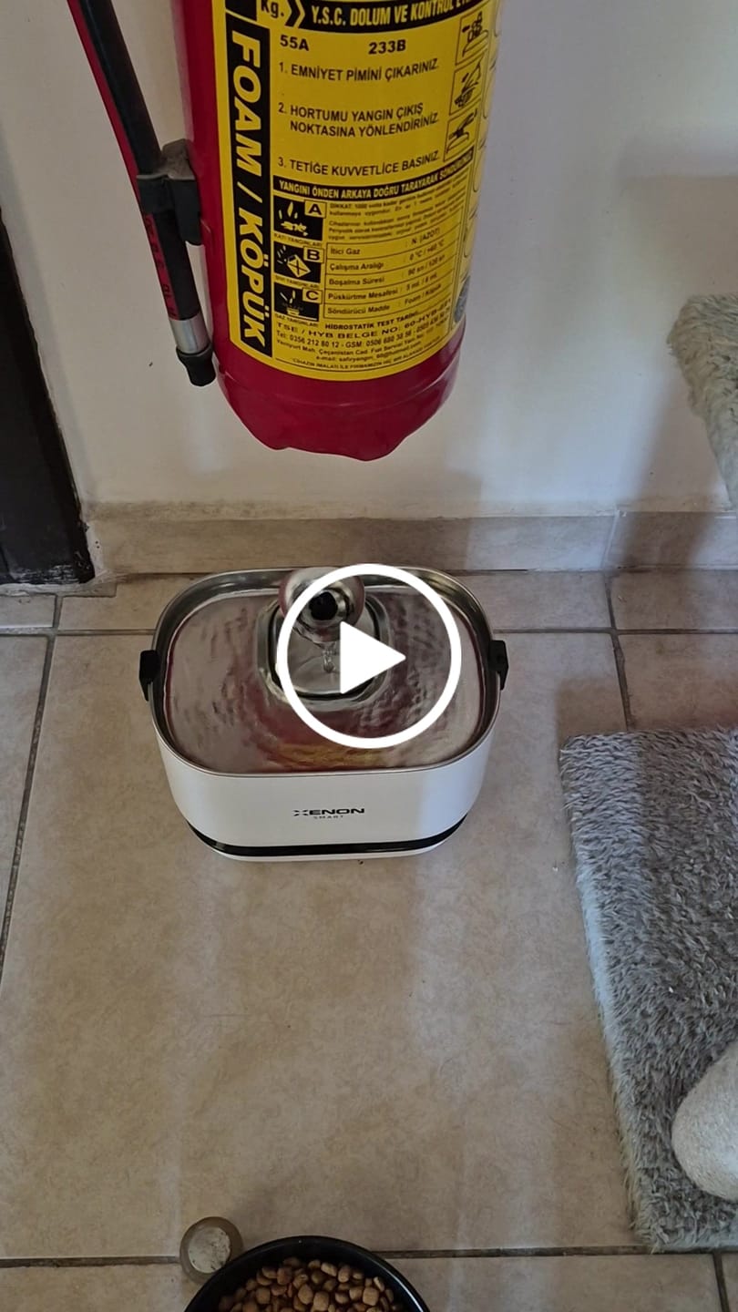 Customer video review of Kedi Su Pınarı Filtresi (X8652 ve X8653 Uyumlu) | 4'lü Set, Fırça ve Süngerli Yedek Parça (X8783)