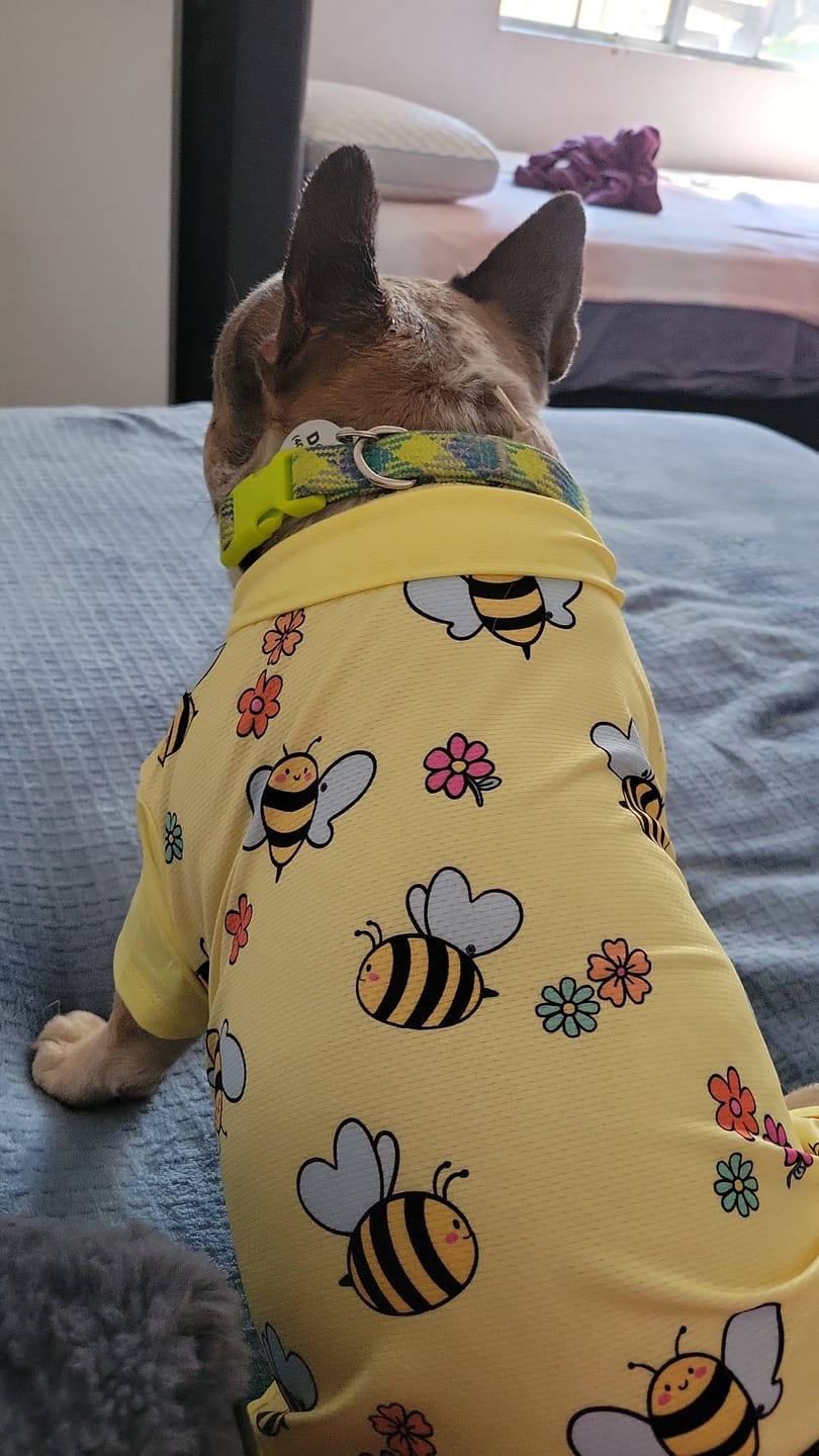 Customer photo review of Sunblock T-Shirt 3 Pack