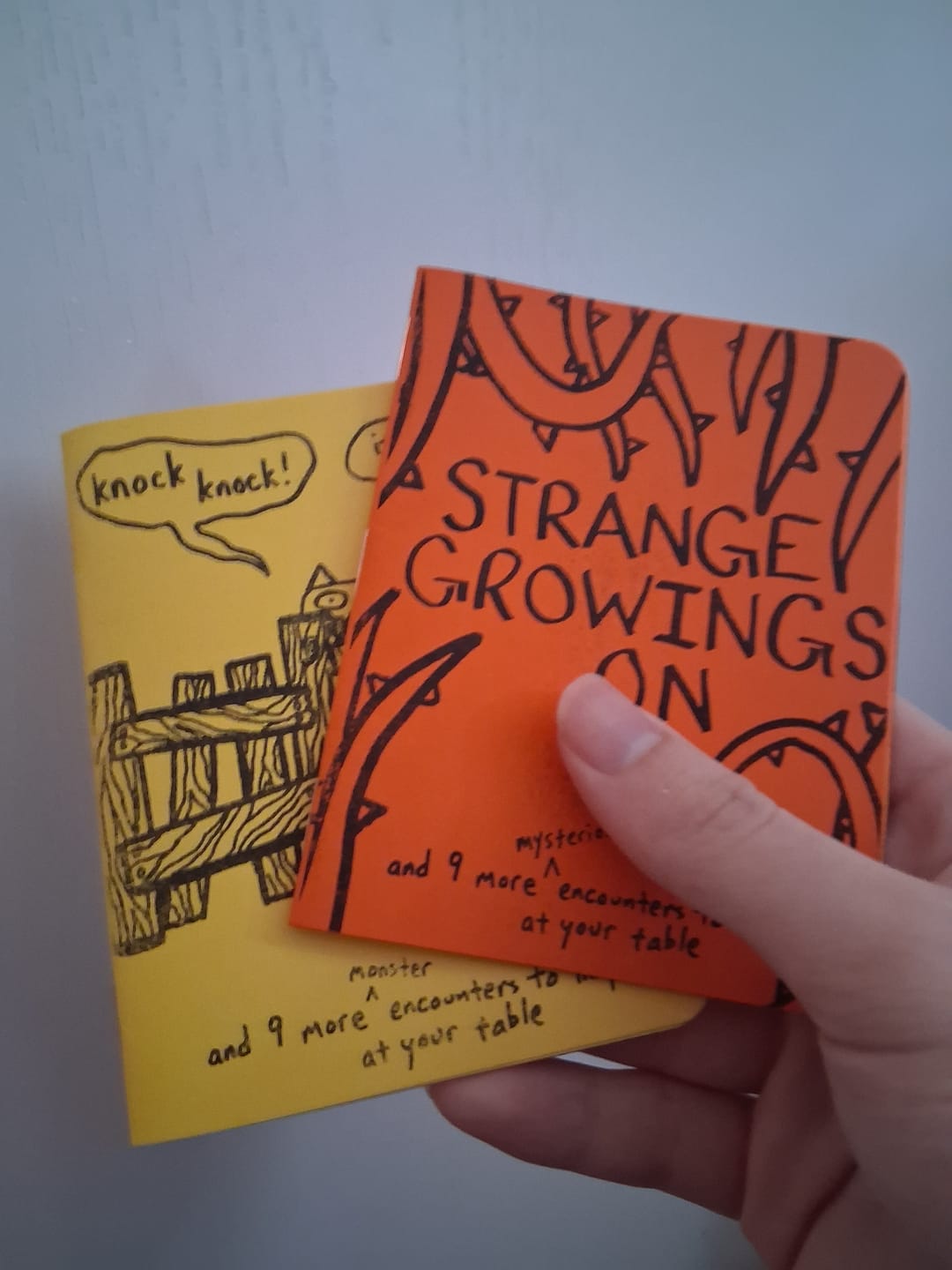 Customer photo review of Encounters to Inspire Book 2-Pack (Print + Digital)