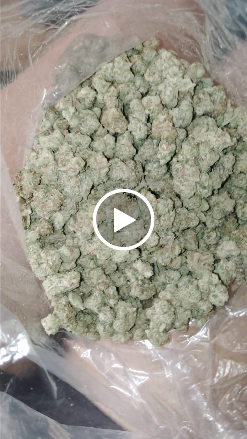 Customer video review of Blueberry Muffins Littles - Bulk Littles - Indica
