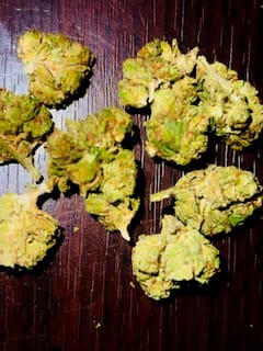 Customer photo review of Heavy OG - Minis - 28 Grams - Indica