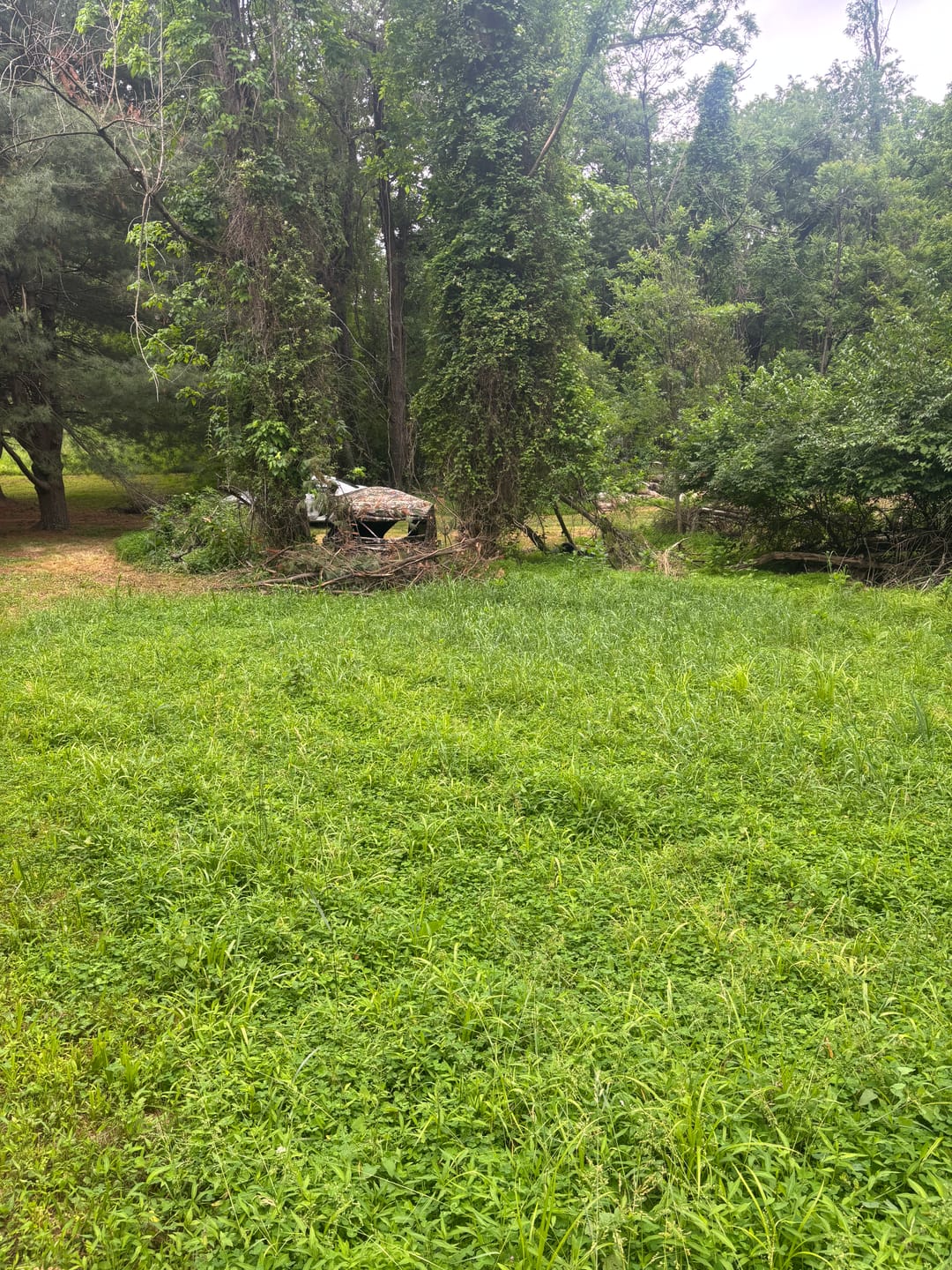 Customer photo review of VisX/VisMax See Through Hunting Blind, Pop Up Ground Deer Blind