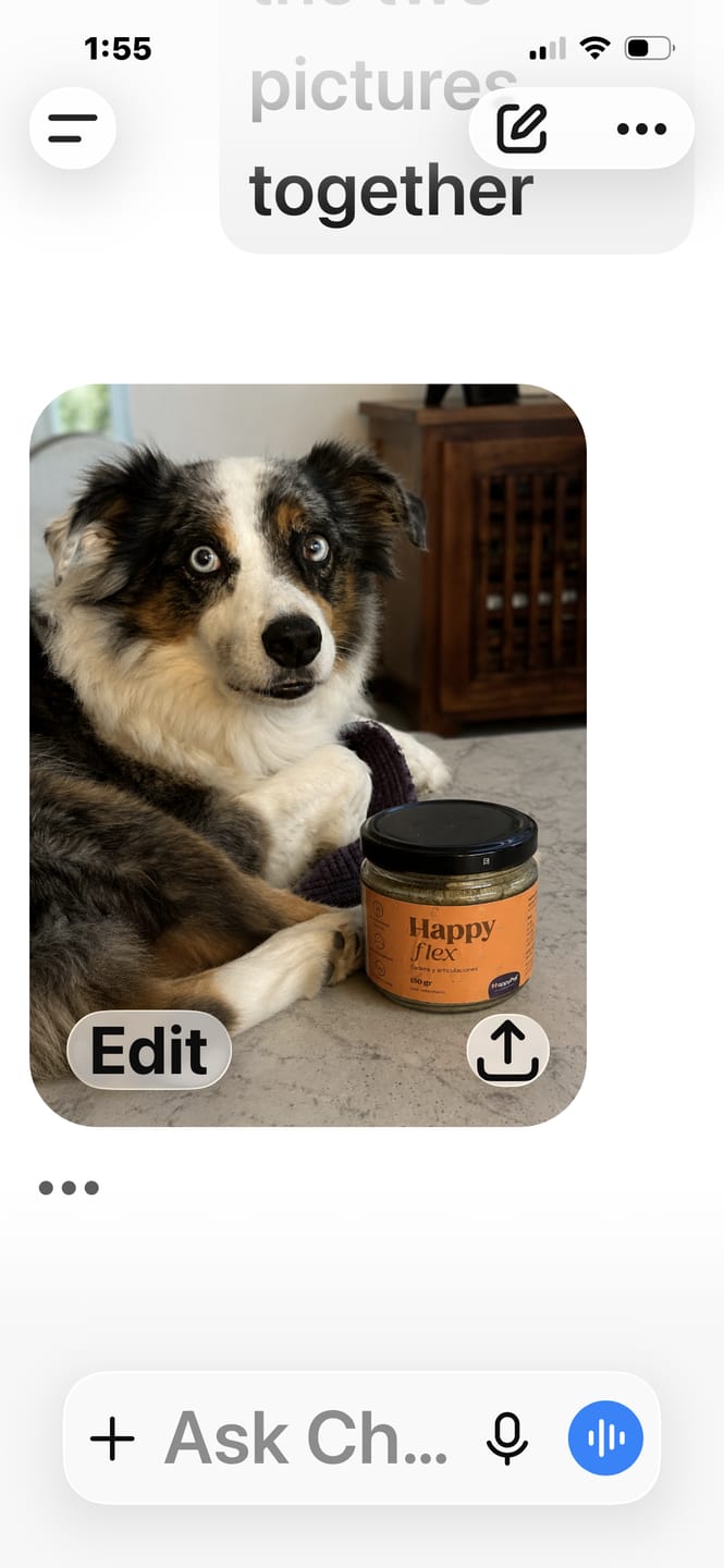 Customer photo review of Happy Flex I  Anti Inflamatorio Para Perros y Gatos. Suplemento para articulaciones, huesos y cadera