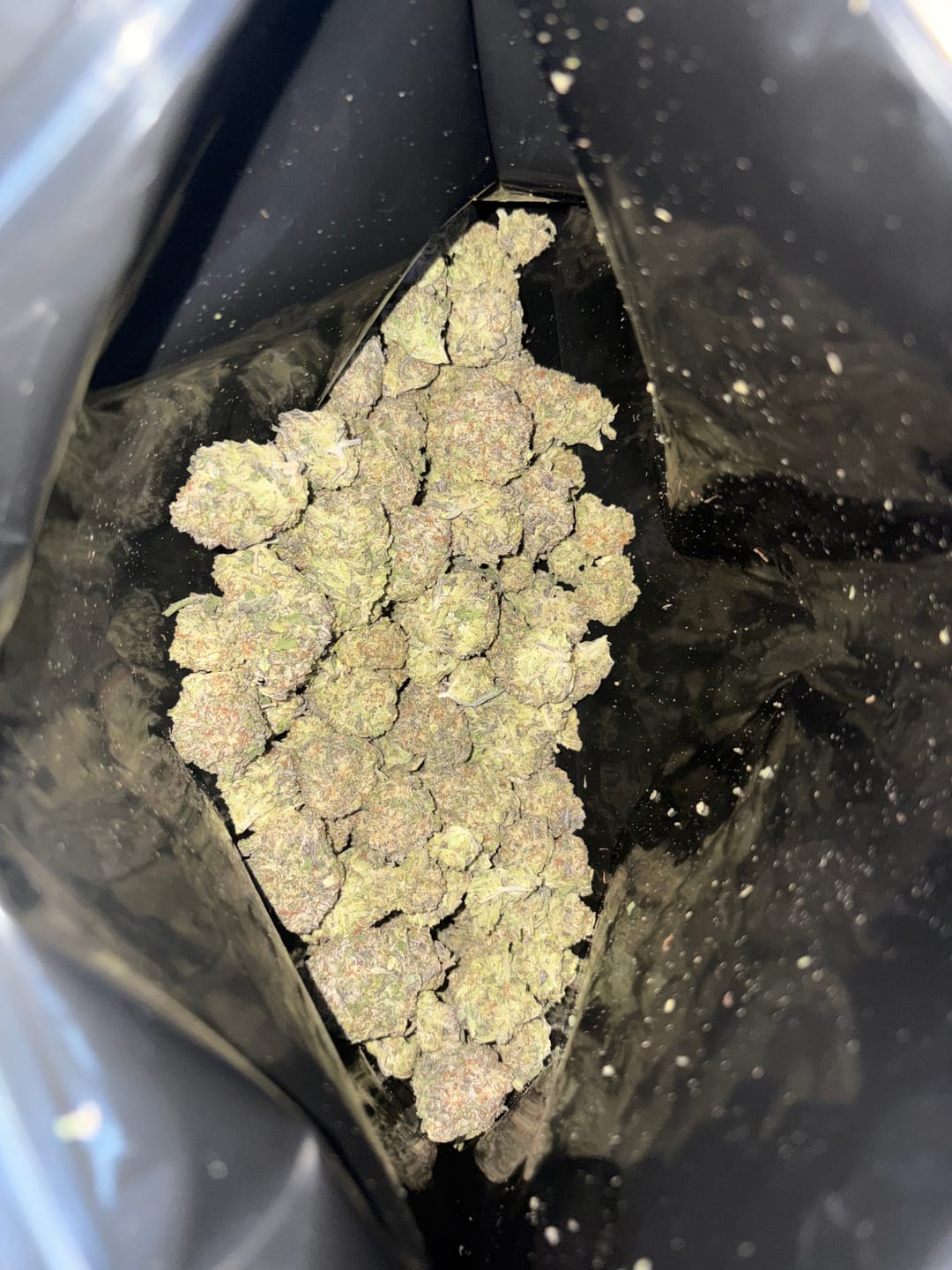 Customer photo review of Truffle Indoor - Bulk - Indica
