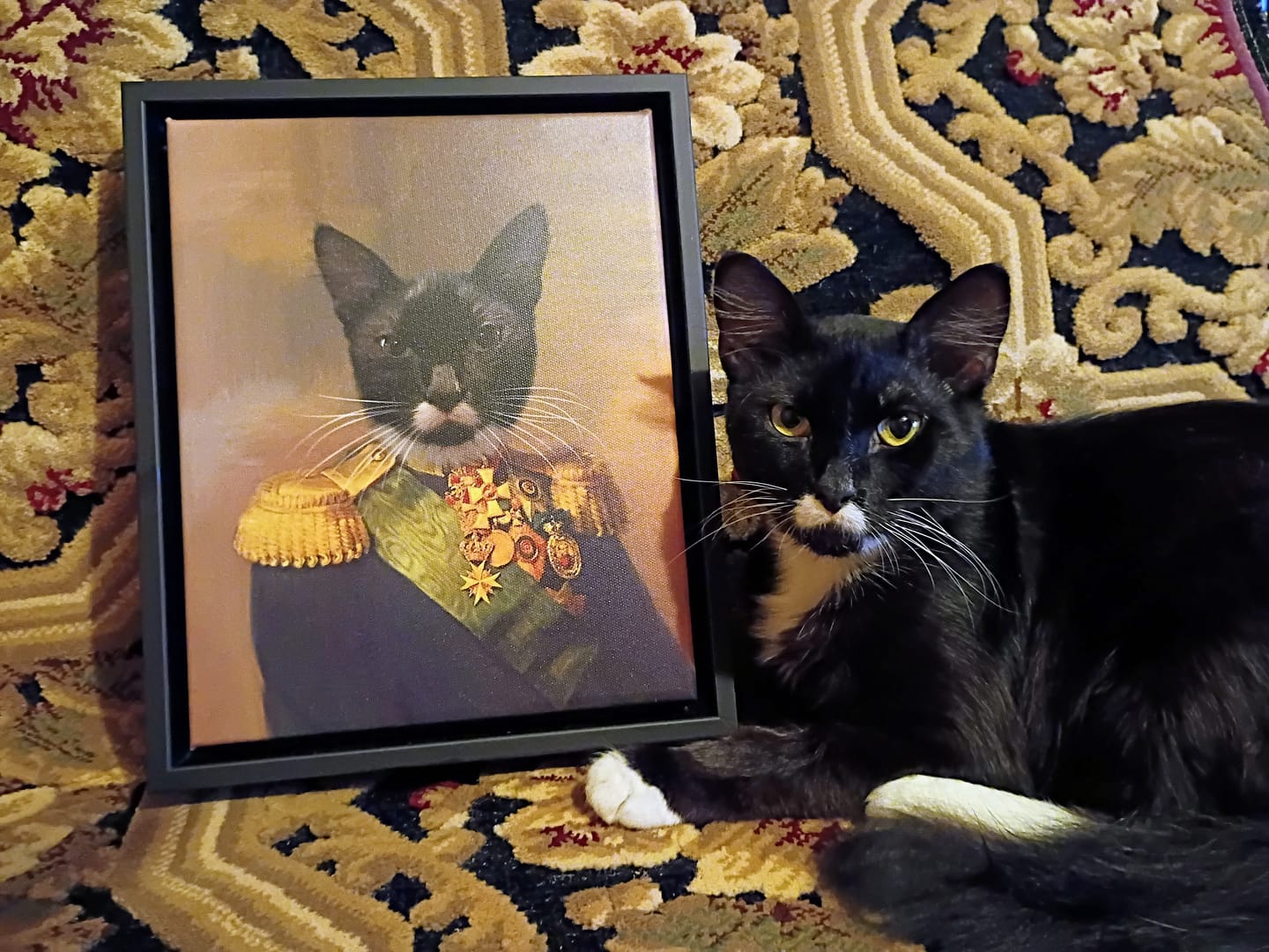Customer photo review of The Colonel - Custom Pet Canvas