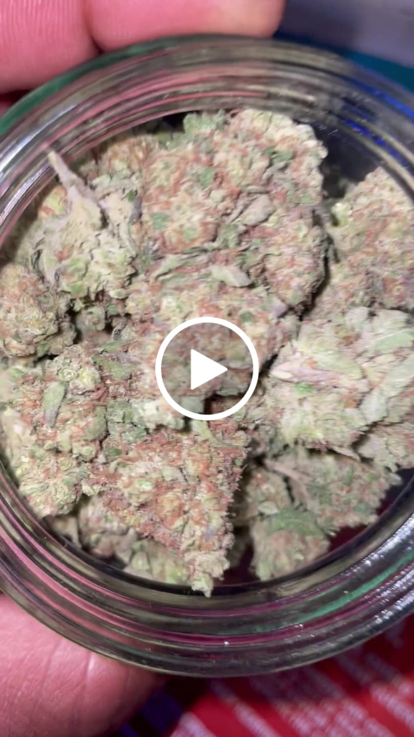 Customer video review of Laughing Gas - Bulk - Hybrid