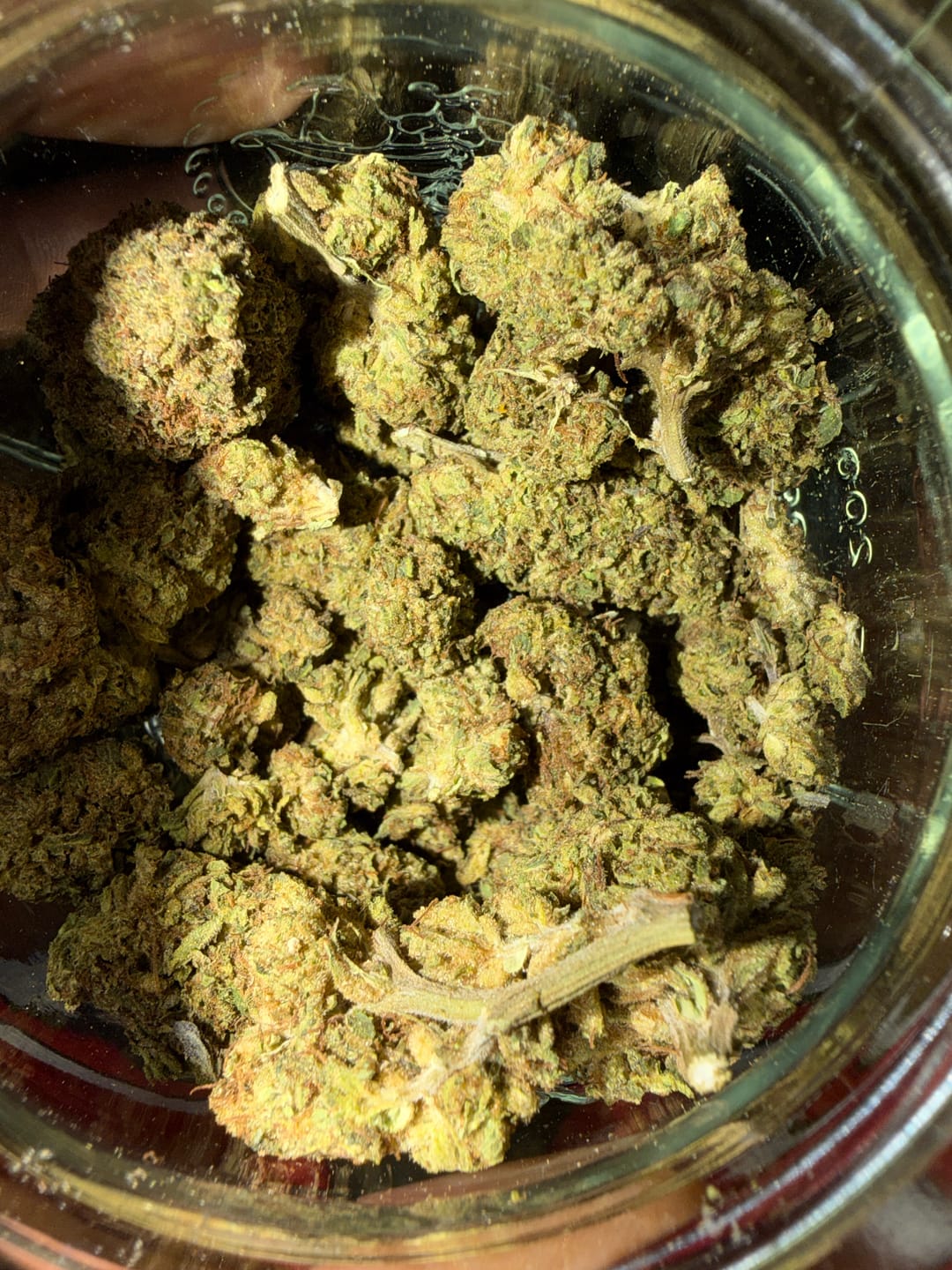 Customer photo review of Fruity Pebbles OG - 28 Grams - Indica